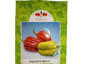 Piquante F1 Hot Pepper Seeds | 500 Seeds