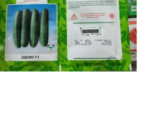 Daewy F1(Cucumber seed) | 500 seeds