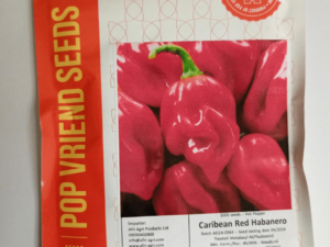 Caribbean Red Habanero Pepper