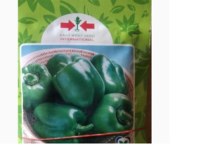 Ganga Sweet Pepper Seeds (Eastwest Seeds Brand)