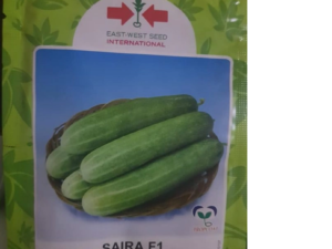 Saira F1 Cucumber Seeds (East West Seed | 10g)