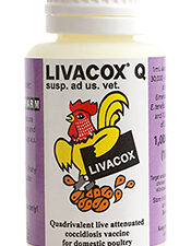 Livacox