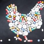 Read more about the article Antibiotic Resistance in Poultry: Causes, Effects, and Solutions