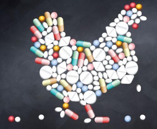 Read more about the article Antibiotic Resistance in Poultry: Causes, Effects, and Solutions