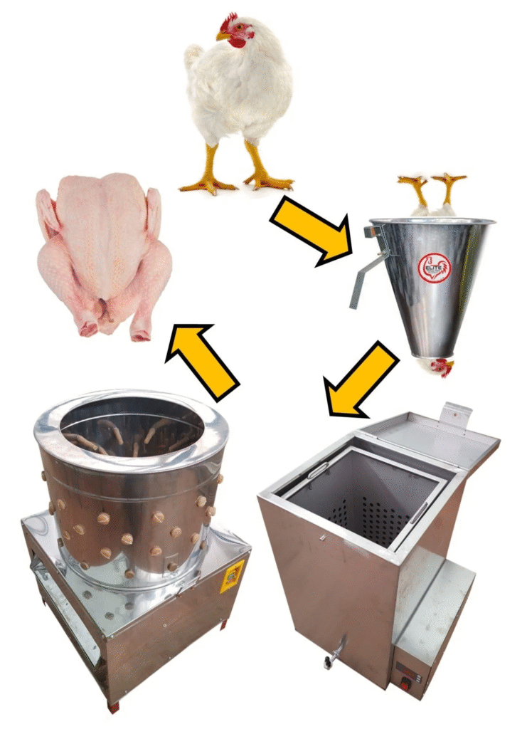 BROILER PRODUCTION IN NIGERIA - AGRIKHUB